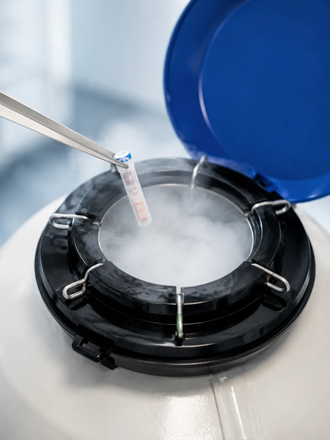 A specimen vial lifted on forceps from an open cryogenic storage vessel, with vapour rising